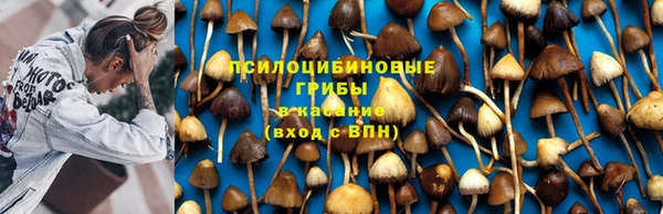 гидропоника Беломорск