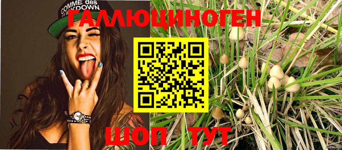Псилоцибиновые грибы Psilocybine cubensis  Вход с VPN  Галлюциногенные грибы мицелий  магазин  наркотиков  Воскресенск 