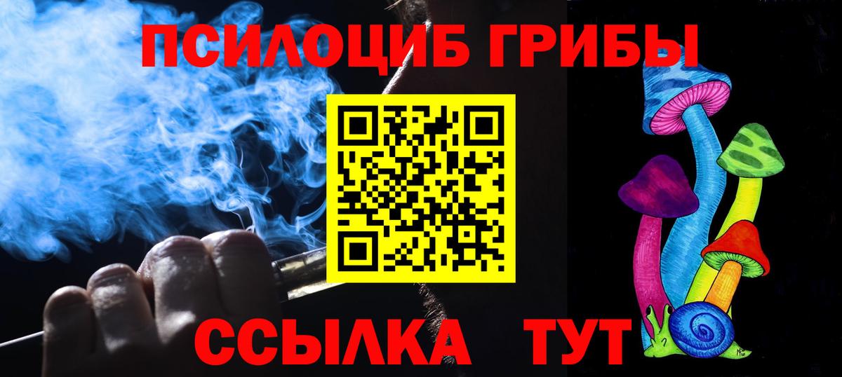 Галлюциногенные грибы Psilocybine cubensis Воскресенск
